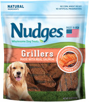 Nudges® Salmon Grillers Wholesome Dog Treats 18 oz. Bag