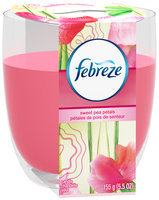 Candle Febreze Candle Sweet Pea Petals Air Freshener (1 Count, 5.5 Oz)