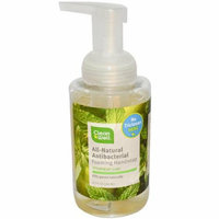 CleanWell All-Natural Antibacterial Foaming Hand Wash Spearmint Lime 9.5 fl oz