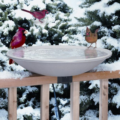 Allied Precision 20 in. EZ Deck Tilt and Clean - Heated