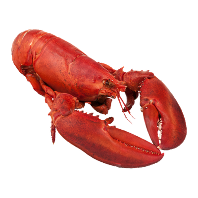 USDA Chicken Lobster Cooked