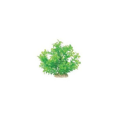 Pure Aquatic Natural Elements Moneywort Aquarium Ornament in Green