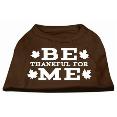 Ahi Be Thankful for Me Screen Print Shirt Brown XXXL (20)