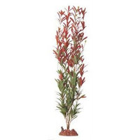 Instant Ocean-Aquarium Systems AIOSG83 Seagarden Nesaea Freshwater Aquarium Decorative Plant, 24-Inch