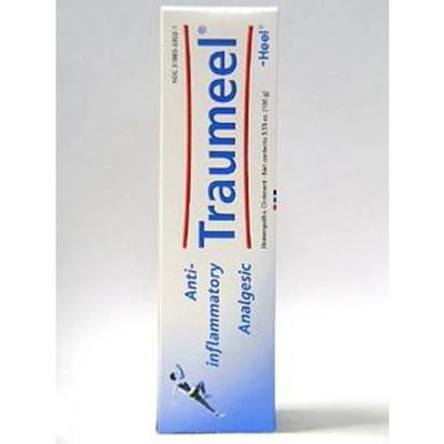 Heel/bhi T-Relief Pain Ointment 100 Gram