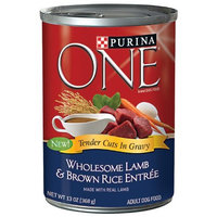 PURINA ONE® SmartBlend Wholesome Lamb & Brown Rice Entree