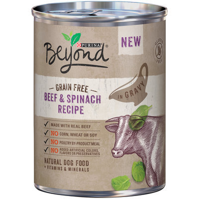 Purina Beyond Grain Free Beef & Spinach Recipe Natural Dog Food 13 oz. Pull-Top Can
