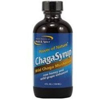 North American Herb & Spice ChagaSyrup - 4 fl oz