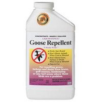 Liquid Fence Goose Repellent Concentrate Quart - 00147