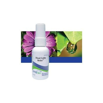 Head Colds Relief, 2 oz, King Bio Homeopathic (KingBio)
