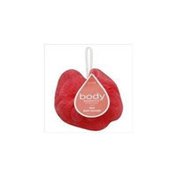Allied Of Chicago Net Facial Sponge Asst(Case of 108)