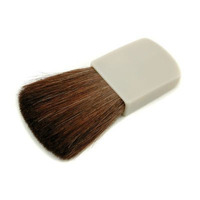 Kanebo 11093480809 Mini Cheek Color Brush