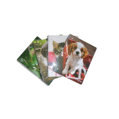 Generic Dogs and Cats Notebook