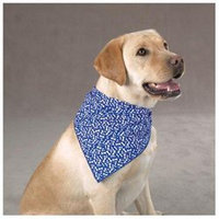 Pet Pals DT8672 83 Aria Blue Ribbon Bone Bandana Red