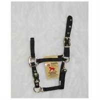 Hamilton Halter Company - Adjustable Chin Halter With Snap- Black Weanling - 3DAS WNBK