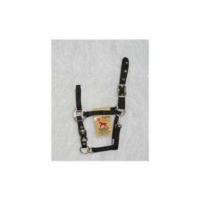 Hamilton Halter Company - Adjustable Chin Halter With Snap- Black Weanling - 3DAS WNBK