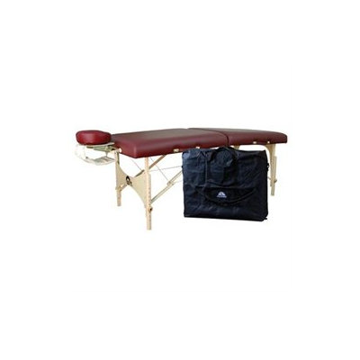 Oakworks One Massage Table Package Color: Blue Grass