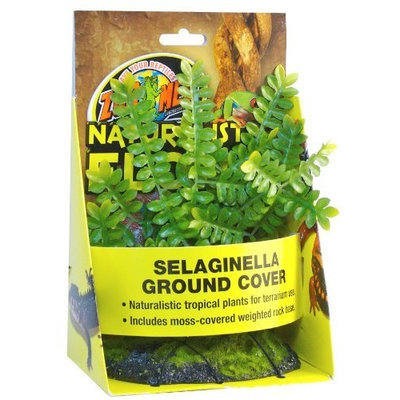 Zoo Med Naturalistic Flora Selaginella Ground Cover