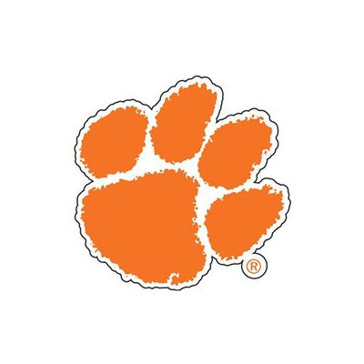 Innovative Adhesives C-FN-CLEMSON Fan-A-Peel Temporary Fingernail Tattoo-Sticker