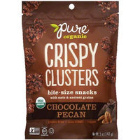Pure Bar Pure Organic Crispy Clusters Chocolate Pecan Bite-Size Snacks, 5 oz, (Pack of 12)