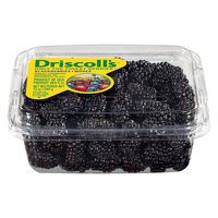 Driscoll's Blueberries 1-pt.