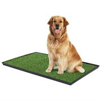 Prevue Hendryx PP-502 Tinkle Turf - Large