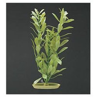 RC Hagen PP2013 Marina Hygrophilia 20 in. decorative plastic plant