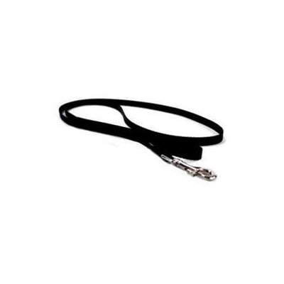Hamilton Pet Company - Single Thick Nylon Lead- Black .63 X 4 - SLF 4BK