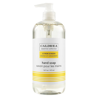 CALDREA COL HD SOAP CTRN GING 16OZ