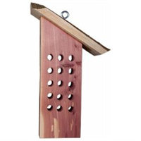 Pine Tree Farms Inc Pine Tree Farms Tree Icing Feeder Wild Bird Food