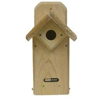 Backyard Nature Products Birds Choice WCEB Eastern Winged Bluebird House