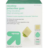 Up & Up Nicotine Gum 110-pk. - Mint (2 mg)