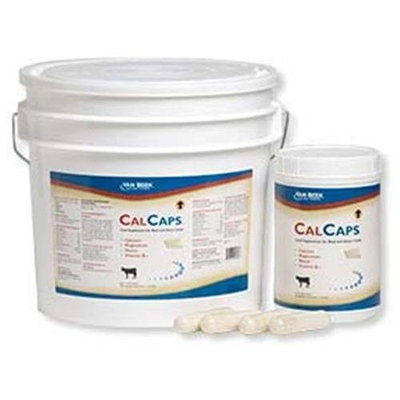 Van Beek Natural Science 085367 Cal Caps 40 Count