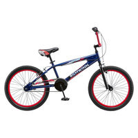 SCHWINN FALCON Boys 20