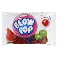 Blow Pops Charms Variety Pack 13.75 oz