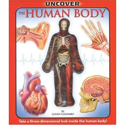 Uncover the Human Body: An Uncover It Book