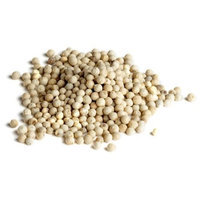 TASTE Specialty Foods Whole White Peppercorns, 5-pound Jug