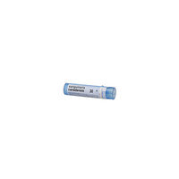 Boiron Sanguinaria Canadens 30c 30C - 80 Pellets - Other Homeopathics