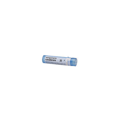 Boiron Sanguinaria Canadens 30c 30C - 80 Pellets - Other Homeopathics