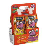 Lifeway ProBugs Organic Whole Milk Kefir Pouches Orange Creamy Crawler - 4 CT
