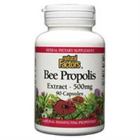 Natural Factors Bee Propolis Extract - 500 mg - 90 Capsules