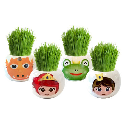 Bizzy Kids Buzzy Grow Kits Enchanted Kingdom