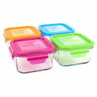 Wean Green Lunch Cubes Garden Pack, 4 ea