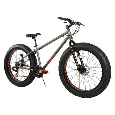 Chitech Men's 7 speed Triax Fat Tire Bike - Grey (26
