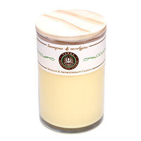 LEMONGRASS & EUCALYPTUS MASSAGE & AROMATHERAPY SOY CANDLE 12 OZ TUMBLER. A SOOTHING & UPLIFTING BLEND WITH CITRINE GEMSTONE. BURNS APPROX. 30+ HOURS for UNISEX