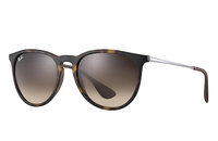 Ray Ban Erika Classic
