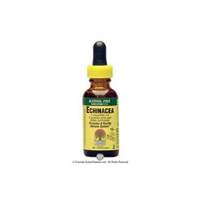 tures Answer Nature's Answer - Echinacea Extract Alcohol-Free - 4 oz.
