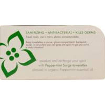 Giovanni GV8104 Organic Sanitizing Towelettes Recharge Peppermint Surge