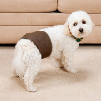 Doctors Foster & Smith Medium Male Dog No-Leak Wrap (Brown)