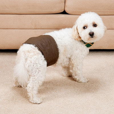 Doctors Foster & Smith Medium Male Dog No-Leak Wrap (Brown)
